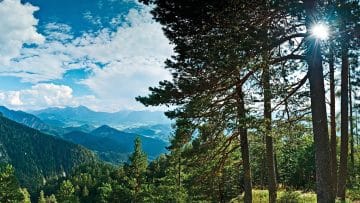 Vom herrschaftlichen Jagdgebiet zur Wildruhezone
