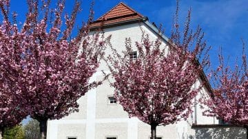 DienstnehmerInnen-Ehrung 2022