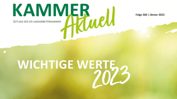Wichtige Werte 2023