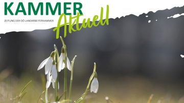 Kammer aktuell April 2023