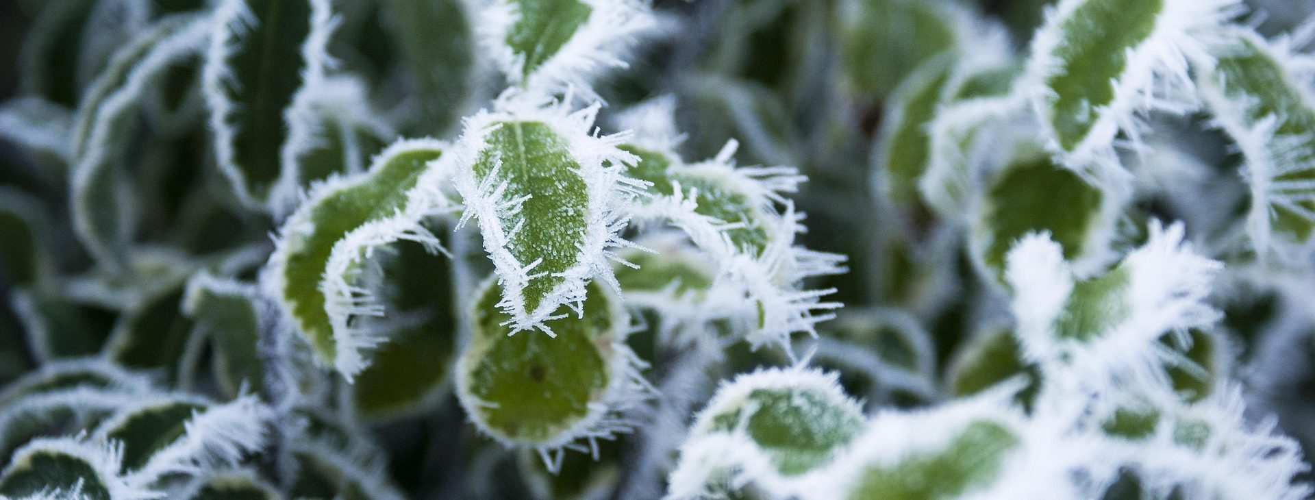 BEGLEITET. FÖRDERT. BILDET.