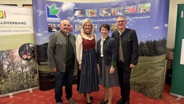 Bundestag ARGE Meister