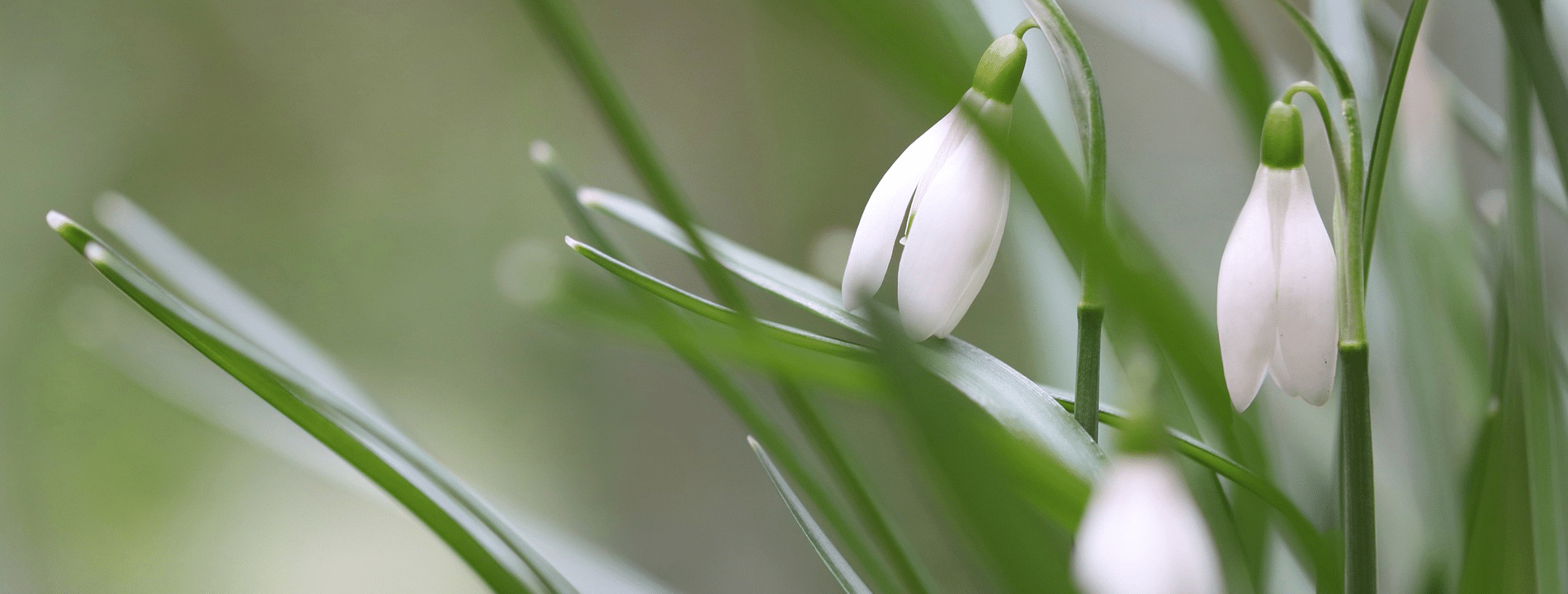 BEGLEITET. FÖRDERT. BILDET.