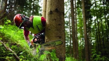 Sicher bei der Waldarbeit