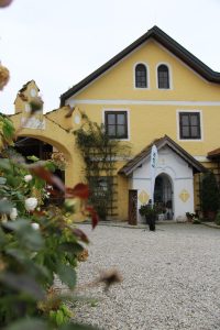 IMG 4077