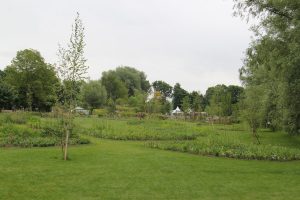IMG 3879