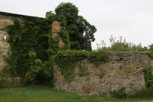 IMG 3906