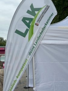 IMG 7668