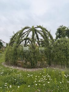 IMG 8733