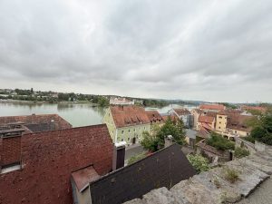 IMG 8737